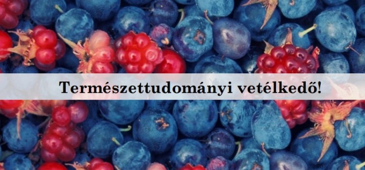 Természettudományi vetélkedő!