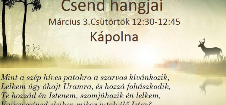 Csend hangjai