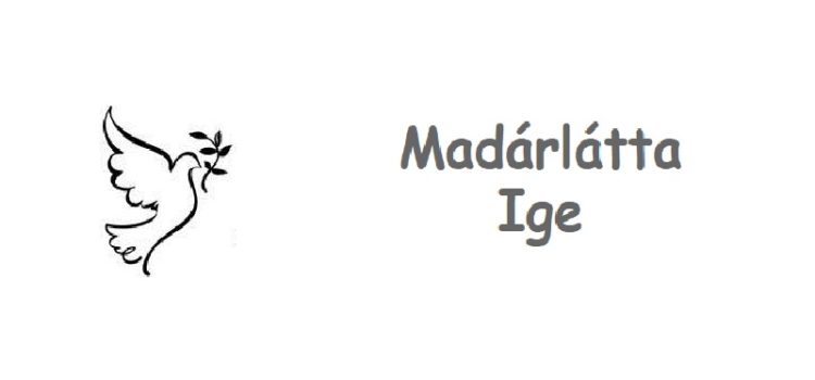 6. Madárlátta Ige