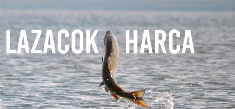 Lazacok harca