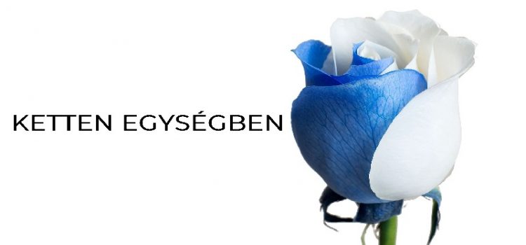 Ketten egységben